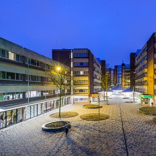 campusdiemensnippe1.jpg