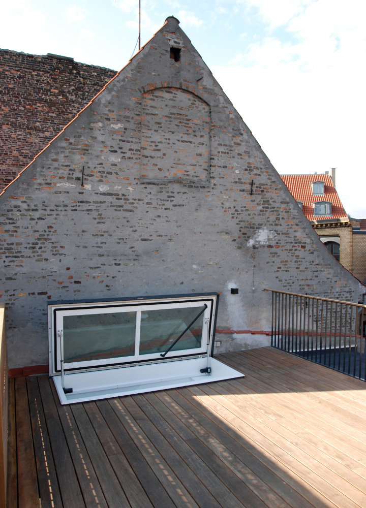 dakluik met glas
