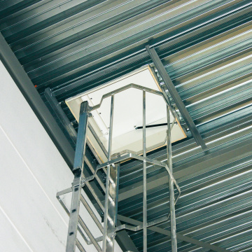 Staka Dakluik met kooiladder Vacu Vin Delfgauw