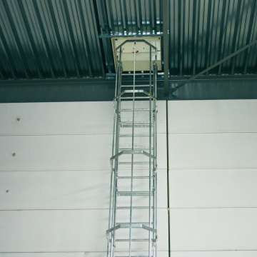 Staka Dakluik met kooiladder Vacu Vin Delfgauw