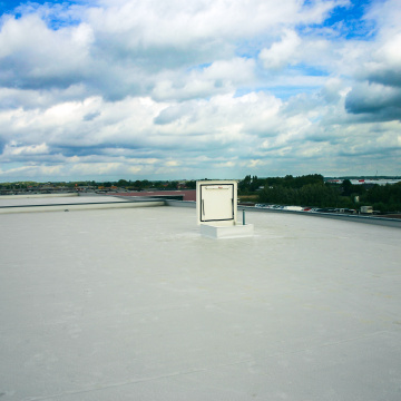 Staka Dakluik met kooiladder Vacu Vin Delfgauw