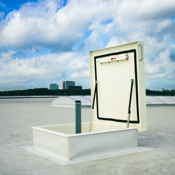 Staka Dakluik met kooiladder Vacu Vin Delfgauw