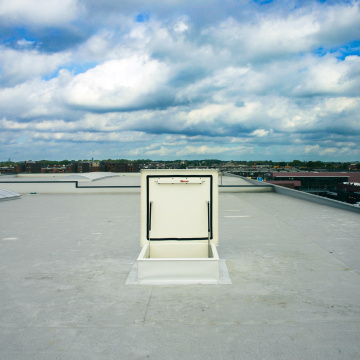 Staka Dakluik met kooiladder Vacu Vin Delfgauw