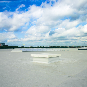 Staka Dakluik met kooiladder Vacu Vin Delfgauw