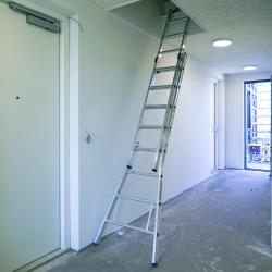 thumbnail-dl-serie_dakluiken_met_opsteekladder_te_veld_eindhoven_15.jpg